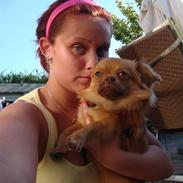 Blanding af racer King