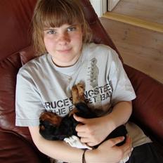 Cavalier king charles spaniel Cava Coton's Sadie