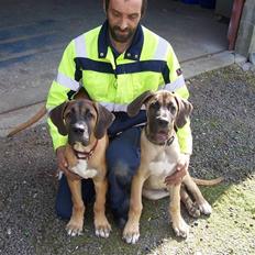 Blanding af racer Freja