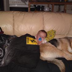 Blanding af racer Laika