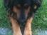 Blanding af racer "Ricko" *RIP*