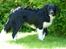 Blanding af racer Nuga - Hvor er du dog smuk, min skat:)