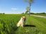 Chow chow TrisseVonMontasio  - Trisse d. 3/6-10