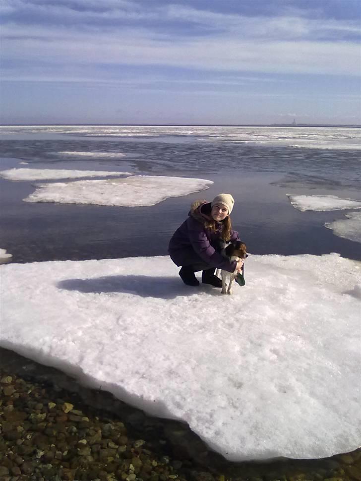 Blanding af racer pjuske - er vi ikke søde billede 11