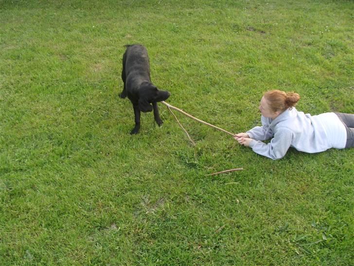 Blanding af racer Aya - Aya leger med sabrina (; billede 5