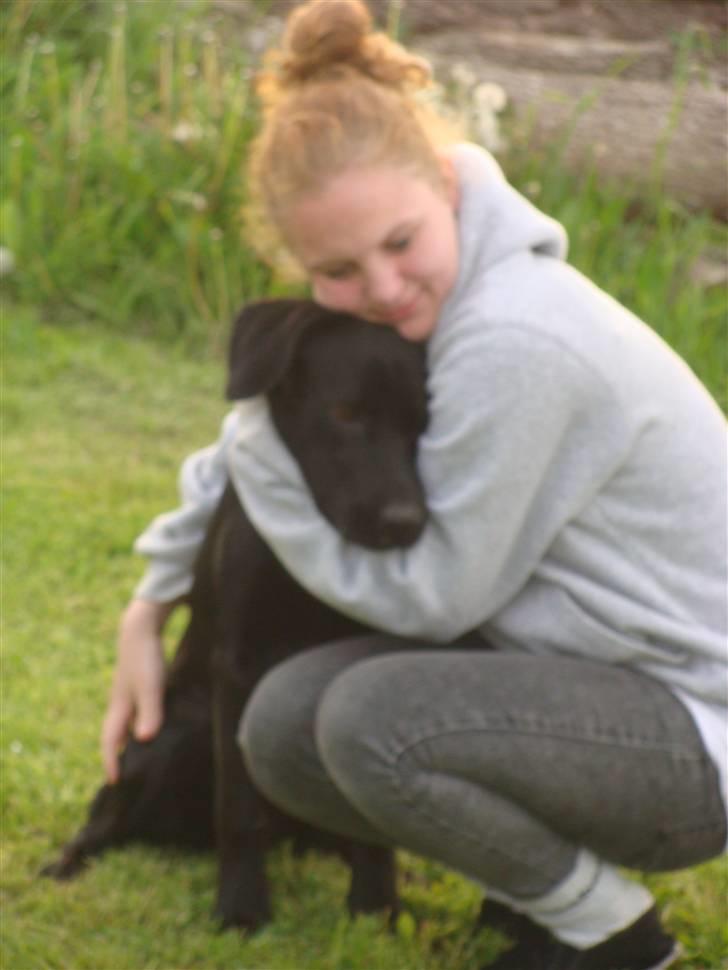 Blanding af racer Aya - Hvor er hun kær! ;* billede 8