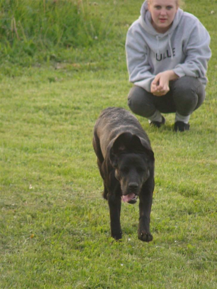 Blanding af racer Aya - Kom hen til mig. (; billede 9