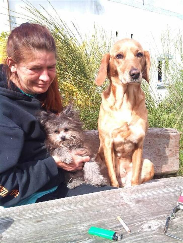 Blanding af racer **Lill' Cody<3** billede 18