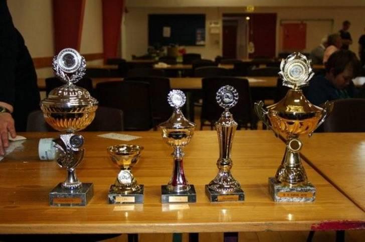 Chihuahua Aslan be my dream *udstationeret* - De 4 generationers pokaler i Køge..... fra venstre min flotte pokal i hvalpeshow, min fars 1 pr. i åben klasse, min farfar´s cacib i champion klassen, min oldefars euro cacib og så blev min oldefar også lige bedste chihuahuahan :-) billede 11