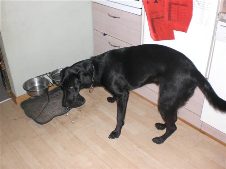 Blanding af racer Walther - Det her er jo det samme som jeg fik igår MØJ!!!!!!!!!!!!!!!!!!!!!!! billede 11