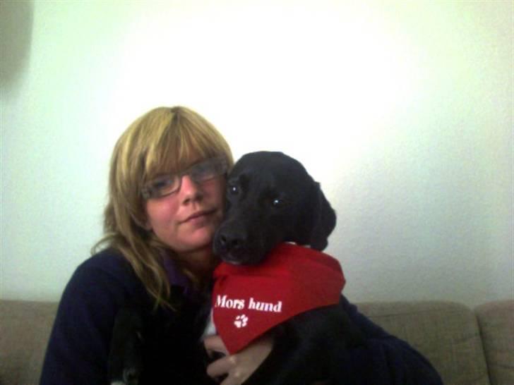 Blanding af racer Tippi billede 1