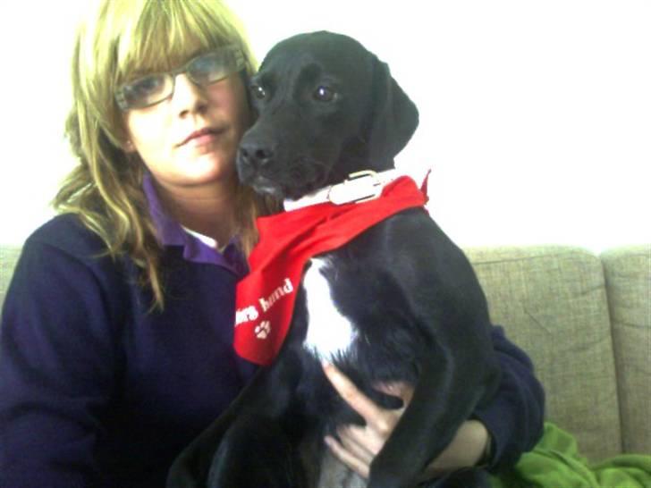 Blanding af racer Tippi billede 3