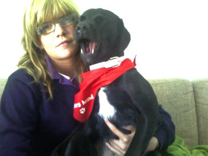 Blanding af racer Tippi billede 9