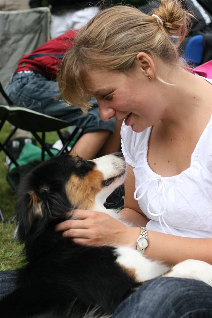 Australian shepherd Gracie - På udstilling. billede 12