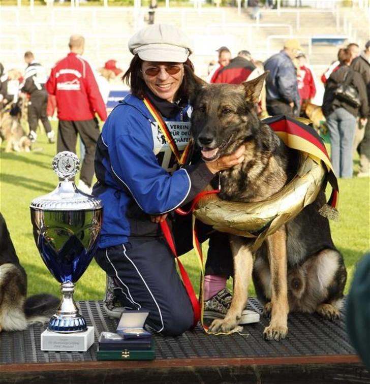 Schæferhund Freya - Javir vom Talka Marda - Far - billede 7