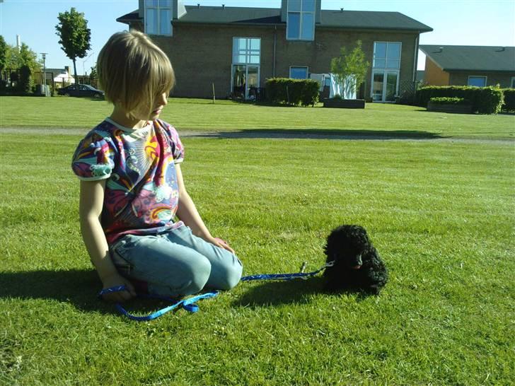 Toypuddel sweet Bobbi - camilla er bare så glad for bobbi, og det er gengældt.. billede 13