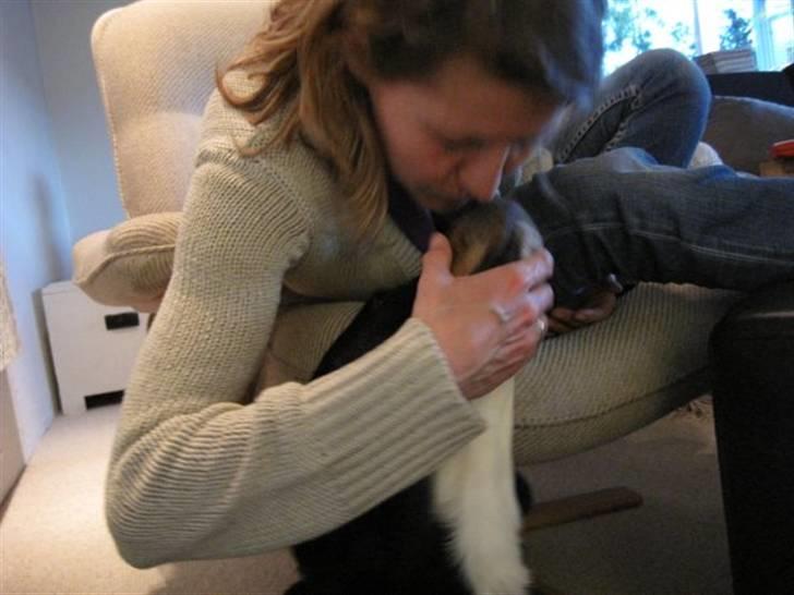 Blanding af racer Sofus - Der er ikke noget som at blive kysset af sin mor, vel Sofus? <3 Foto: Mig billede 3