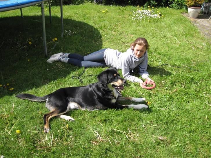 Blanding af racer Sofus - Foto: Mig billede 7