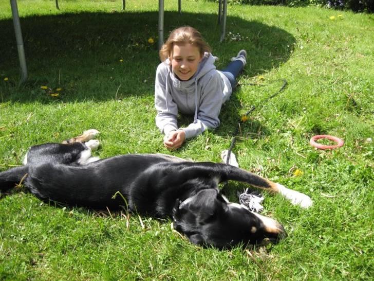 Blanding af racer Sofus - Foto: Mig billede 8