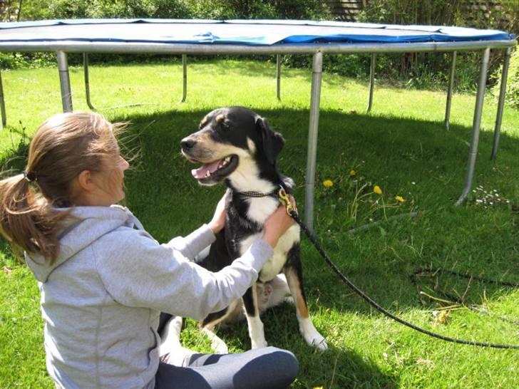 Blanding af racer Sofus - Foto: Mig billede 17