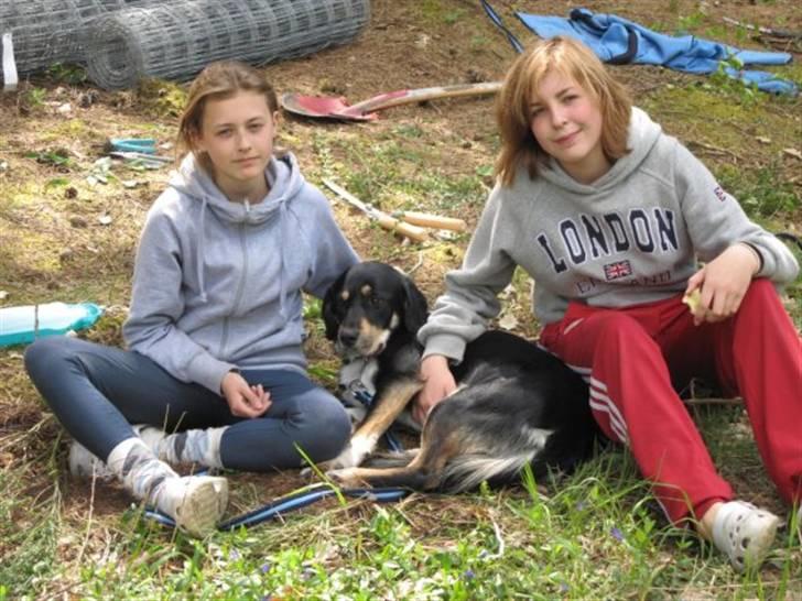 Blanding af racer Sofus - Foto: Pia Breil-Hansen billede 19