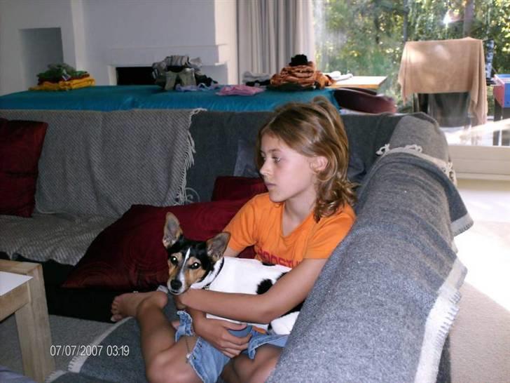 Jack russell terrier Tara R.I.P - Foto: Mor billede 18