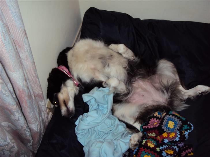 Blanding af racer tulle - jeg ved godt det ser tosset ud men skønt det er det billede 15