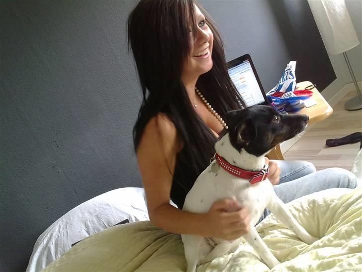 Glathåret foxterrier kiwi - kiwi og mig (; billede 10