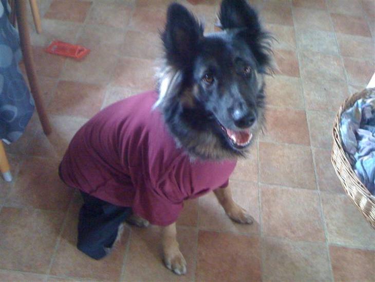 {{currentPhoto.altText}} billede {{currentPhoto.number}}