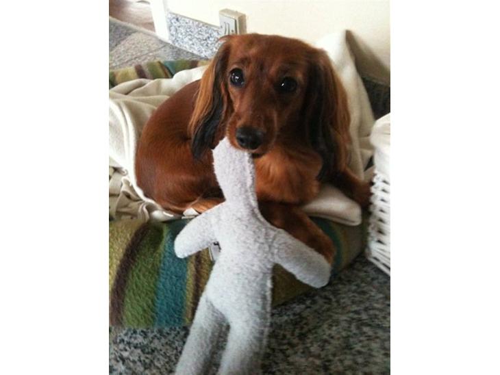 {{currentPhoto.altText}} billede {{currentPhoto.number}}