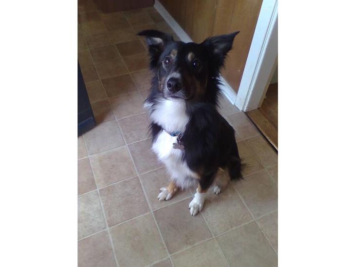 {{currentPhoto.altText}} billede {{currentPhoto.number}}