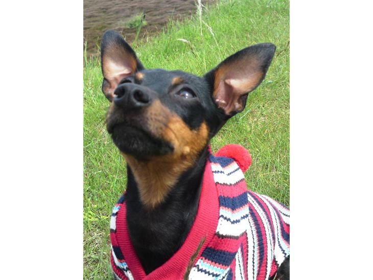 {{currentPhoto.altText}} billede {{currentPhoto.number}}