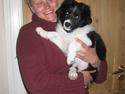 Border collie LP 1 Speedy