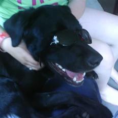 Blanding af racer Charlie