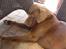 Labrador retriever Neo - Neo der ligger mærkeligt op af en stol. Han kan godt lide det