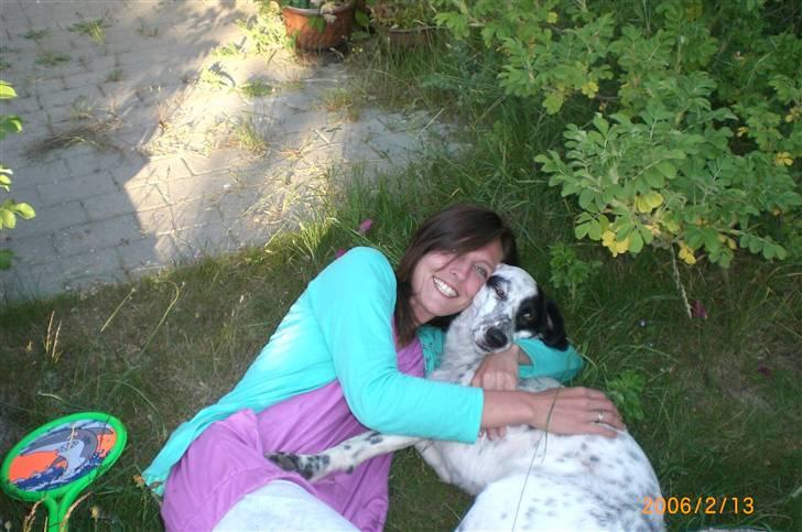 Blanding af racer Chili billede 2