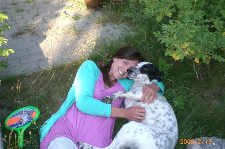 Blanding af racer Chili billede 5