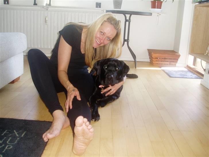 Labrador retriever Nando R.I.P - Mor elsker dig skat billede 19