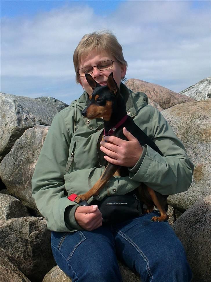 Dvaergpinscher Damgaards Licky Lady - Licky og mor :) billede 6