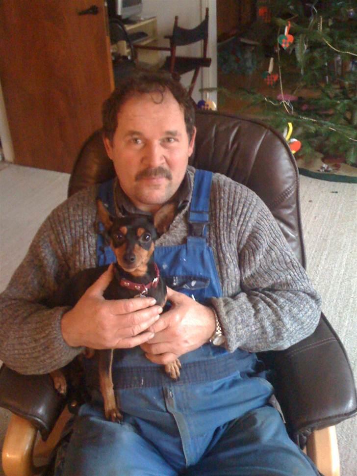 Dvaergpinscher Damgaards Licky Lady - Far og vuffer hygger billede 9