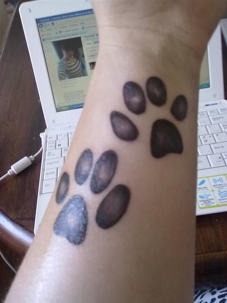 Jack russell terrier Jensen billede 7