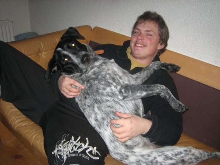 Blanding af racer Mille - Mig og Mille billede 16