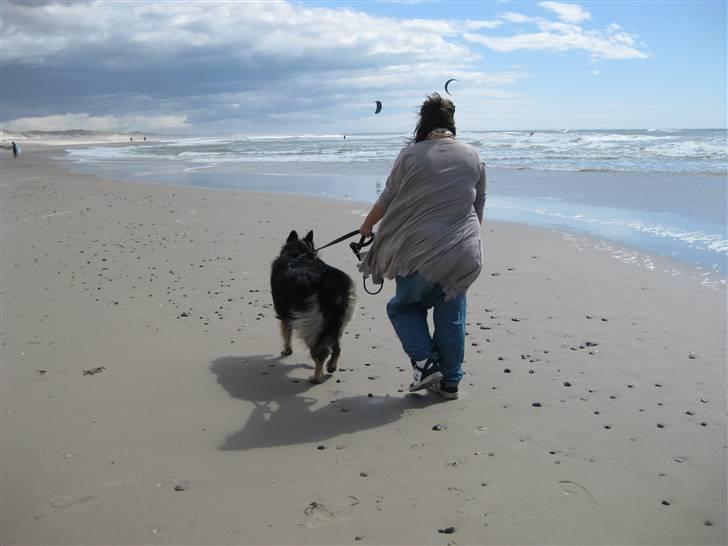 Blanding af racer Balou - Balou og min kæreste (: - hej hej husk at ligge en kommentar og en bedømmelse (: så ville Balou blive glad :D billede 12