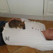 Blanding af racer Futte