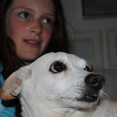 Blanding af racer Anton