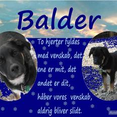 Blanding af racer Balder R.I.P.