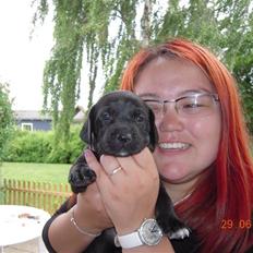 Blanding af racer Bella *solgt:(*