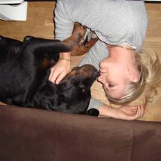 Rottweiler Thonara Alison