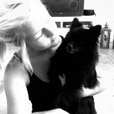 Pomeranian Gaia's pure black Phoebe