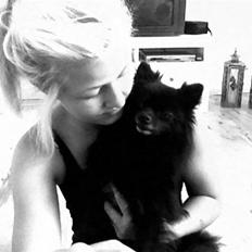 Pomeranian Gaia's pure black Phoebe